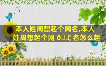 本人姓周想起个网名,本人姓周想起个网 🐦 名怎么起